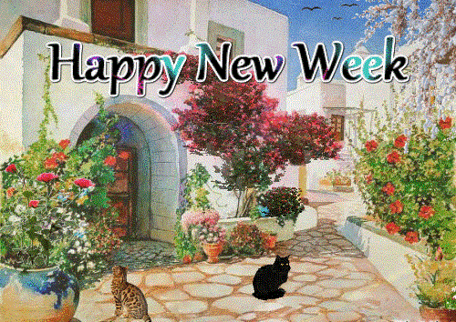 Koty pilnujące ogrodu szczęśliwego nowego tygodnia